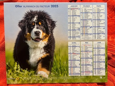 CALENDRIER ALMANACH DU Facteur La Poste 2023 Chiens Bouvier Bernois